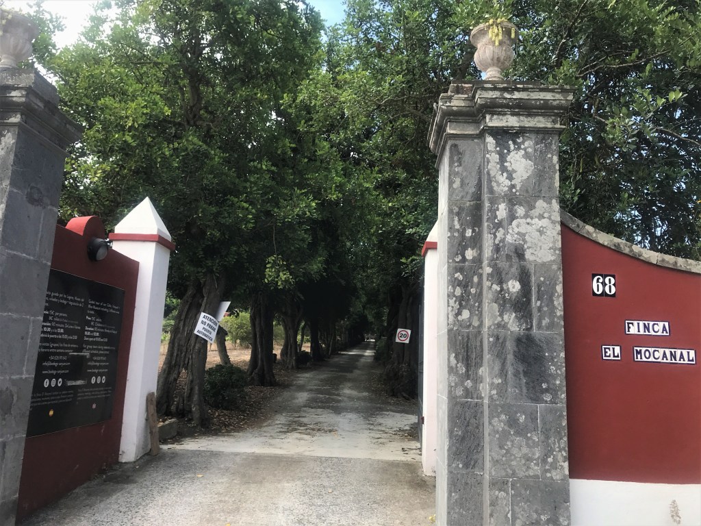 Finca el Mocanal – full of history and eco&nbsp;wines
